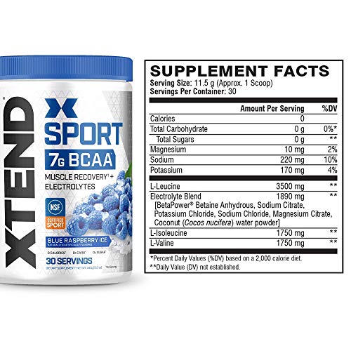 XTEND Sport BCAA Powder Blue Raspberry Ice - Electrolyte Powder for Recovery & Hydration with Amino Acids - 30 Servings