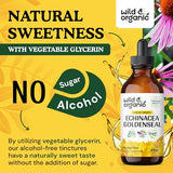 Echinacea Goldenseal Drops - Organic Echinacea Goldenseal Root Liquid Extract - Herbal Supplement - Vegan, Alcohol Free Tincture - 4 fl oz
