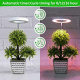 ROMSTO Grow Lights for Indoor Plants, LED Full Spectrum Plant Light for Indoor Plants, Height Adjustable Grow Light with 10 Dimmable Brightness, 8/12/16H On/Off Timer, Ideal for Small Plants,2 Packs