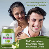 Sea Moss Gel, Flavored Organic Raw Irish Seamoss Gel Immune and Digestive Support Vitamin Mineral Antioxidant Supplements for Men Women Kids, Apple 18.5oz