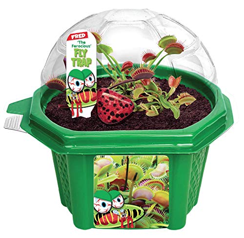 Toys By Nature Venus Fly Trap - Complete Carnivorous Plant Kit - Fun and Easy to Grow Bug Eating Plants - Kids Terrarium Set - Gift for Kids, Boys & Girls