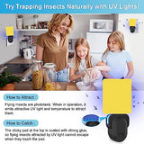 HiAnifri Flying Insect Trap Plug-In, 2023 Upgrade Mosquito Trap Gnat Killer Indoor, Safe Non-Toxic UV Light Attractant Night Light Fly Trap with Sticky Pad for Flies, Gnats, Moths(1 Pack, Black)