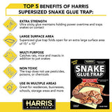 HARRIS Snake Glue Trap, Super Sized for Snakes, Rats, Mice and Insects (3-Pack)