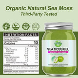 Sea Moss Gel, Flavored Organic Raw Irish Seamoss Gel Immune and Digestive Support Vitamin Mineral Antioxidant Supplements for Men Women Kids, Apple 18.5oz