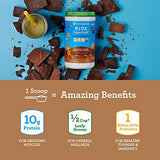 Amazing Grass Kidz Superfood: Vegan Protein & Probiotics for Kids with Beet Root Powder & 1/2 Cup of Leafy Greens, Extreme Chocolate, 15 Servings