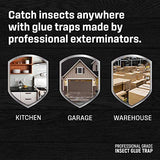 Exterminator’s Choice - Large White Glue Sticky Traps - Professional Quality Glue Board - Easy Pest Control for Ants, Roaches, Crickets, Spiders, Beetles and More - Includes 8 Traps