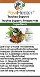 PawHealer Trachea Support Dog Cough Remedy - Used for Loud, honking Cough - 50 Grams/Powder