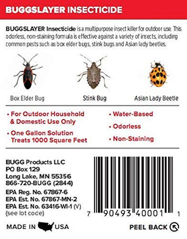 BUGGSLAYER Insecticide Concentrate 16-oz Kills Box Elder Bugs, Stink Bugs, Asian Lady Beetles