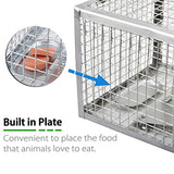 Anyhall 2-Pack Live Rat Traps Humane Mouse Chipmunk Cage Traps (Silver)