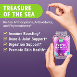 MAJU's Powerful Purple Sea Moss Capsules (60 ct), Extra-Strength Purple Minerals, Chondrus Crispus, Stronger Than Gel, Compare to Organic Irish Seamoss Capsule, Wild Harvested Powder Pills