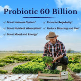 VITALITOWN Probiotics + Prebiotics | 60 Billion CFUs 19 Strains | 60 Delayed Release Veg Caps | Shelf Stable, Stomach Acid & Bile Resistant | Digestive & Immune Support | Vegan, Non-GMO, No Dairy