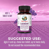 MaryRuth's Herbal Supplement Chewables Tablet | for Immune Support | Black Elderberry + Vitamin C | Sambucus Nigra | Gluten Free | Non-GMO | 90 Servings