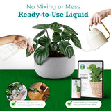 Houseplant Resource Center - Propagation Promoter, Root Stimulator, Foliage Focus, Plant Growth - for Fiddle Leaf Fig & Ficus Lyrata Solution Cuttings in Water or Soil, Indoor Plant Food - 8 Fluid Oz