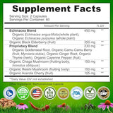 Echinacea Goldenseal Capsules - 10 in 1 Immune Support Supplement - 1455mg - Vegan Echinacea Capsules Supplement Made With Organic Whole Foods - Herbal Immune System Support - 2 Month Supply