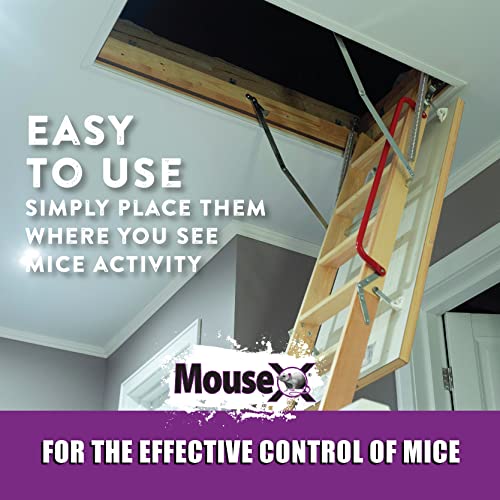 MouseX Throw Packs For All Species Of Rats Mice Safe Around Pets