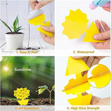 Glovv 36 Pack Fruit Fly Traps for Indoors, Fungus Gnats Killer Trap, Yellow Sticky Traps for Plant Gnat for Houseplant, Mosquitos, Flying Insect, White Flies