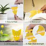 96 Pack Yellow Sticky Traps Fungus Gnat Traps for Indoor and Outdoor Plants, Plant Sticky Gnats Killer House Indoor, Fruit Fly Killer for Indoors Flying Insects Bug Catcher