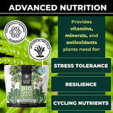 Big Green Leaves | Superfood Houseplant Fertilizer, Indoor Plants - All Purpose + Sea Kelp | 4X More Concentrated | 12-4-8 NPK (1LB)