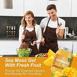 Sea Moss Gel (18 OZ), Wildcrafted Irish Seamoss Gel Rich in 92 Minerals & Vitamins, Supports Immune System & Thyroid & Antioxidant, Non-GMO, Vegan, Pineapple & Mango Flavor