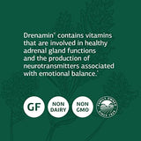 Standard Process Drenamin - Whole Food Antioxidant, Adrenal Support and Immune Support with Shitake, Alfalfa, Rice Bran, Riboflavin, Calcium Lactate, Choline - 90 Tablets