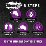 EcoClear Products 620200-6D MouseX All-Natural Poison Free Humane for Rats and Mice, 8 oz. Bag