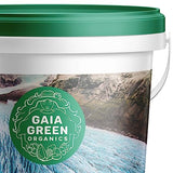 Gaia Green Glacial Rock Dust, 2 kg