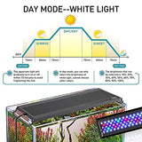 hygger Auto On Off LED Aquarium Light, Full Spectrum Fish Tank Light with LCD Monitor, 24/7 Lighting Cycle, 7 Colors, Adjustable Timer, IP68 Waterproof, 3 Modes for 12"-18" Freshwater Planted Tank