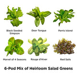 AeroGarden Heirloom Salad Greens Mix Seed Pod Kit with Pre-Seeded Grow Pods, Liquid Plant Food, and Growing Guide, 6-Pod