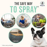 Bella's Barrier Indoor Bug Spray for Home - Ant Spray Indoor & Spider Killer Indoor - Ant Killer & Spider Spray Indoor, Ant Spray Safe for Pets & Kids (32 oz)