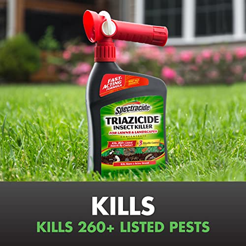 Spectracide Triazicide Insect Killer For Lawns & Landscapes Concentrate (Ready-To-Spray), Protects Lawns, Vegetables, Fruit & Nut Trees, Roses, Flowers & Shrubs, 32 fl Ounce