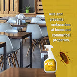 NatroZing Ant & Roach Killer 32 oz Indoors and Outdoors, Ant Spray for Home, Ant Repellent for House，Fast Kill, Prevents for Weeks,Also Kills Roaches Spiders Centipedes, Plant Extract Based Non-Toxic