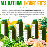 Raw Fountain 7 Day Green Juice Cleanse, All Natural Raw, Vegan Detox, Weight Management Program, Cold Pressed Juices, 42 Bottles 12oz, 7 Ginger Shots