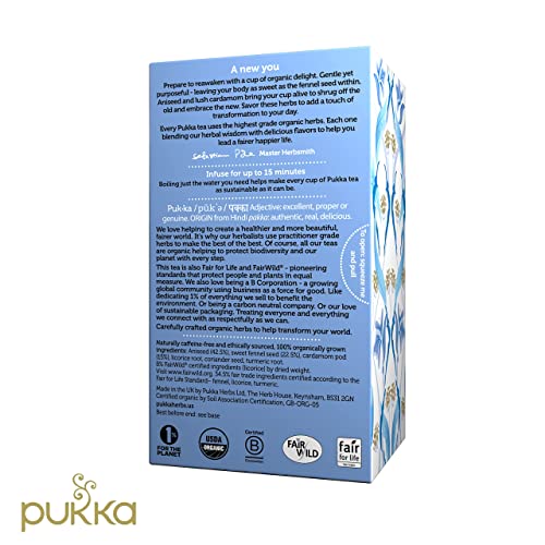 Pukka Organic Detox Tea with Aniseed, Fennel & Cardamom Perfect for Inner Reset, 20 Count (Pack of 6) 120 Herbal Tea Bags