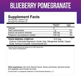 Electrolytes Powder Packets - Electrolytes No Sugar - Hydration Packets - Electrolyte Mix - Keto Electrolytes - Fasting Electrolytes - Water Enhancer, No Tablets - 30 Packets Blueberry-Pomegranate