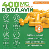 ForestLeaf Vitamin B2 Riboflavin, 400mg - 180 Capsules - Non-GMO, Gluten Free Daily Dietary Supplement