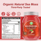 Sea Moss Gel, Organic Irish Seamoss Gel Immune and Digestive Support Vitamin Mineral Antioxidant Supplements,Strawberry 18.5oz