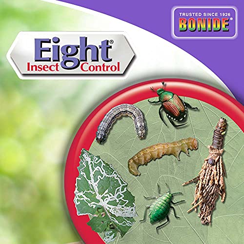 Bonide Eight Insect Control Vegetable, Fruit & Flower, 32 oz Concentrate Long Lasting Insecticide for Beetles and More