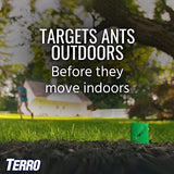 TERRO T1812SR Outdoor Liquid Ant Bait Stakes-2 Pack