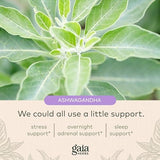 Gaia Herbs Adrenal Health Nightly Restore - Herbal Supplement with Ashwagandha, Magnolia Bark, Cordyceps, Lemon Balm, and More - 120 Vegan Liquid Phyto-Capsules (60 Servings)