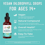 MaryRuth's Chlorophyll Liquid Drops | Clean Label Project Certified® | Vegan | Non-Diluted Liquid Chlorophyll| Mulberry Derived Supplement for Ages 14+ | Non-GMO | Delicious Minty Flavor | 2 Fl Oz