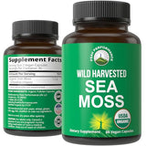 Organic Sea Moss Capsules. Wild Harvested Sea Moss Raw Organic Vegan Supplement from Red Algae Seaweed. 100% Whole Extract Raw Irish SeaMoss Superfood Pills. for Gut, Respiratory, Immune Support.