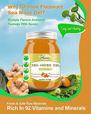 Fleamart 18.5 OZ Sea Moss Gel Organic Raw Seamoss Gel Irish Sea Moss Gel Wildcrafted Sea Moss Gel Vegan Superfood Support Vitamins Mineral