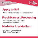 Organic Wild Fish Fertilizer and Plant Supplement, Great for Roots and Soil, Made from Sustainable Salmon, by Bloom City, Gallon (128 oz)