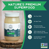 Herbal Vineyards Natural Organic Wildcrafted Gold Raw Sea Moss Gel for Immune Support, Healthy Digestion, and More | 16oz Package | Non-GMO Project Verified