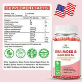 OALSE Sea Moss Gummies for Adults Kids with Chlorophyll, Bladderwrack, Burdock Root, Blck Seed Oil, Vitamin C & D3, Zinc, 8-in-1 Potent Formula Supports Immune System & Boost Energy (1-Pack)