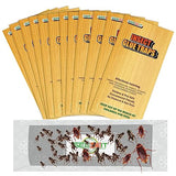 30 PCS Cricket Traps Indoor for Trapping Insects, Mice, Spiders, Bugs, Crickets, Scorpions, Roaches, Super Sticky & Non-Toxic Glue Board Pre-Baited with Fruity Scent Attractant - 9.5 x 3.15 in