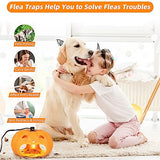 Flea Traps for Inside Your Home,Flea Trap 2 Pack Flea Killer Trap with 6 Light Bulbs & 10 Sticky Discs Bed Bug Traps,Flea Light Trap for Indoor Lamp Bug Catcher for Fleas, Moths, Ants and Cockroaches