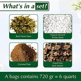 DUSPRO 6 Quarts Big Size Orchid Potting Mix with Forest Moss, Pine Bark Mulch, Perlite Stone & Coco Peat Mixture for Repotting Orchid Medium Sphagnum Soil Bulk for Root Growing