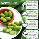 Neem Bliss - Pure Organic Neem Oil Spray for Plants, 100% Cold Pressed - OMRI Listed - All-Natural Concentrate Leaf Polish (32 Fl Oz)