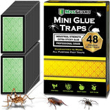 MAX GUARD Mini Glue Traps (48 Traps) Non-Toxic Extra Sticky Glue Board Pre-Baited with Fruity Scent Attractant Trap & Kill Insects, Bugs, Spiders, Crickets, Scorpions, Cockroaches, Centipedes, Mice